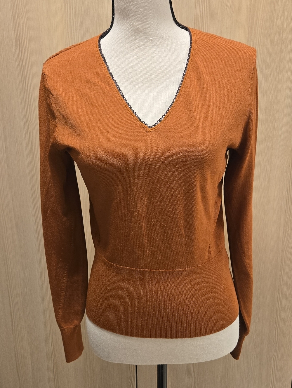 rag & bone Women's V-Neck Sweater in Rust